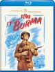 Objective, Burma! (1945) on Blu-ray