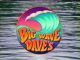 Big Wave Dave's (1993 TV series)(Complete series) DVD-R