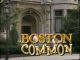 Boston Common (1996-1997 TV series)(Complete series) DVD-R