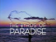 The Byrds of Paradise (1994 TV series)(12 episodes) DVD-R