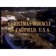 Christmas Miracle in Caufield, U.S.A. (1977) DVD-R