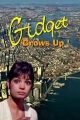 Gidget Grows Up (1969 TV Movie)  DVD-R 