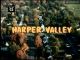 Harper Valley PTA (1981-1982 complete TV series) DVD-R