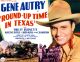 Round-Up Time in Texas (1937) DVD-R