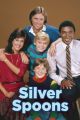 Silver Spoons - Complete old 1980s sitcom TV series