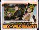 Wild Beauty (1927) DVD-R