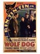 The Wolf Dog (1933) DVD-R